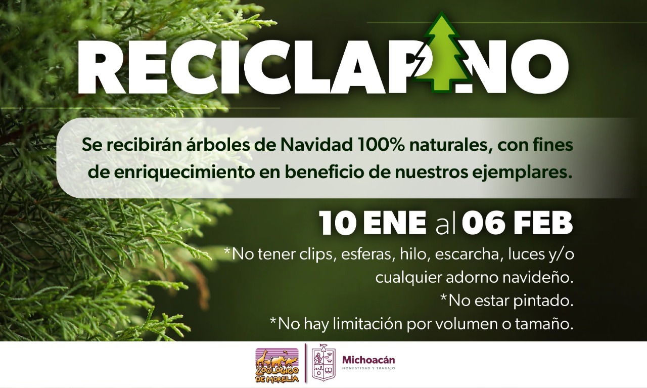 Zoológico de Morelia arranca campaña de reciclaje de árboles de navidad