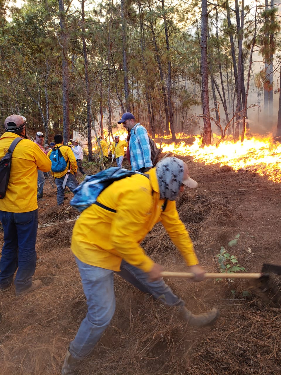 Mantienen trabajos para extinguir incendio forestal en Cotija