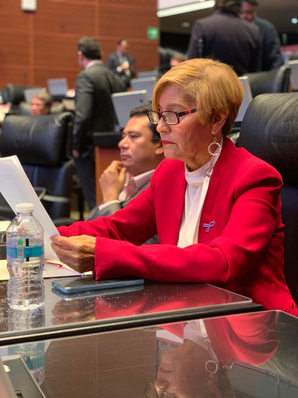 Todo el peso de la ley a responsables de la tragedia de Ciudad Juárez, exige la senadora Blanca Piña