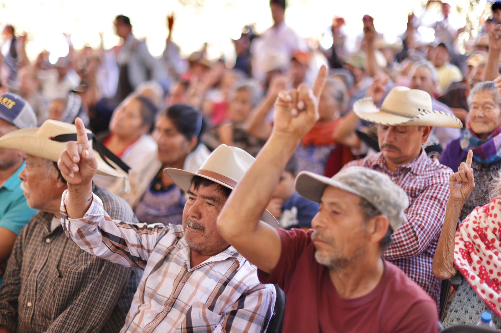 Productores de Ario, Nuevo Urecho y Salvador Escalante reciben fertilizante Productores de Ario, Nuevo Urecho y Salvador Escalante reciben fertilizante