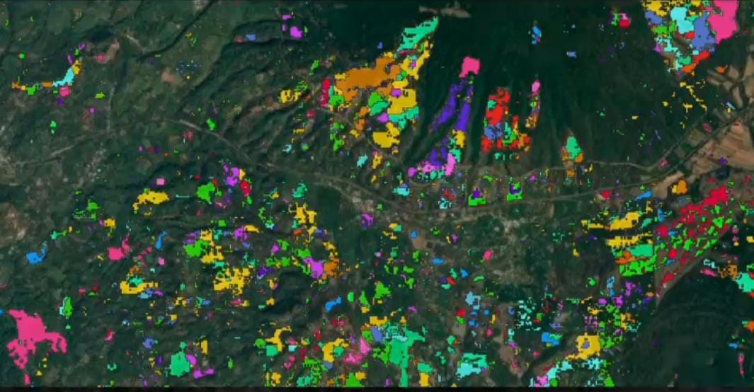 Vigilancia satelital para la protección de hectáreas verdes