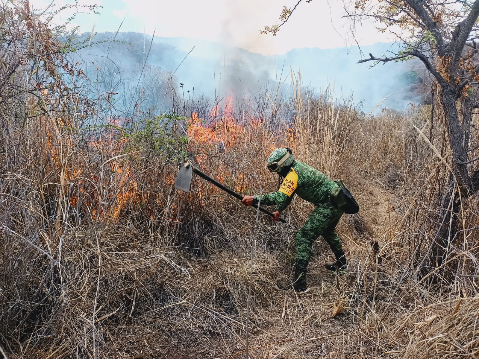 Ejército combate fuego en el cerro del Quinceo Ejército combate fuego en el cerro del Quinceo