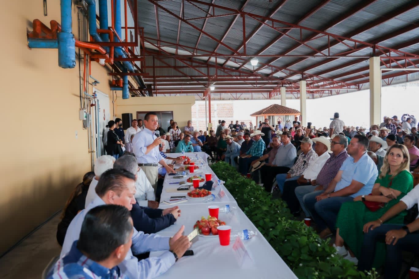 Productores freseros cuentan con el respaldo del Gobierno de Michoacán: Torres Piña