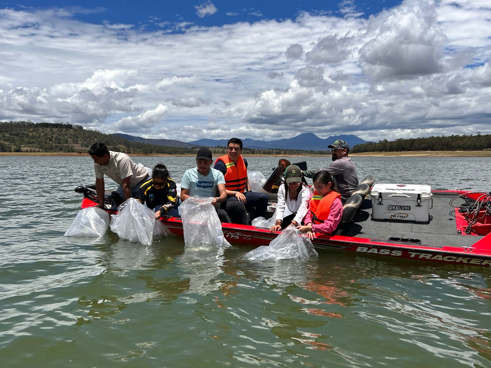 Compesca siembra 50 mil crías de tilapia en la presa de Cointzio