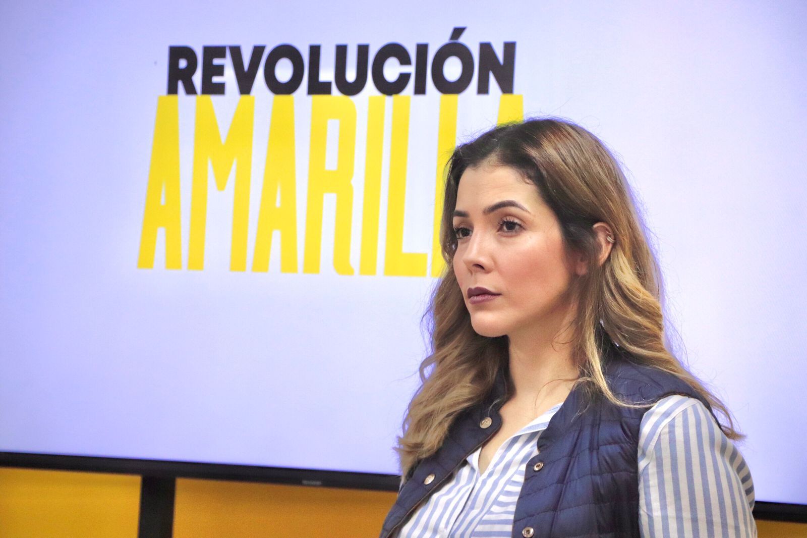 Con la Revolución Amarilla vamos a rescatar Michoacán: PRD