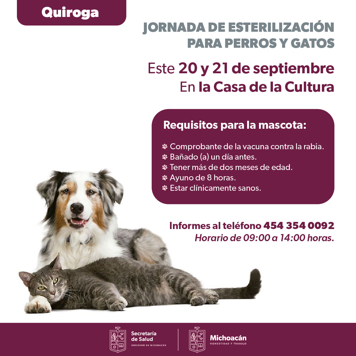 Jornada de esterilización canina y felina en Quiroga Jornada de esterilización canina y felina en Quiroga