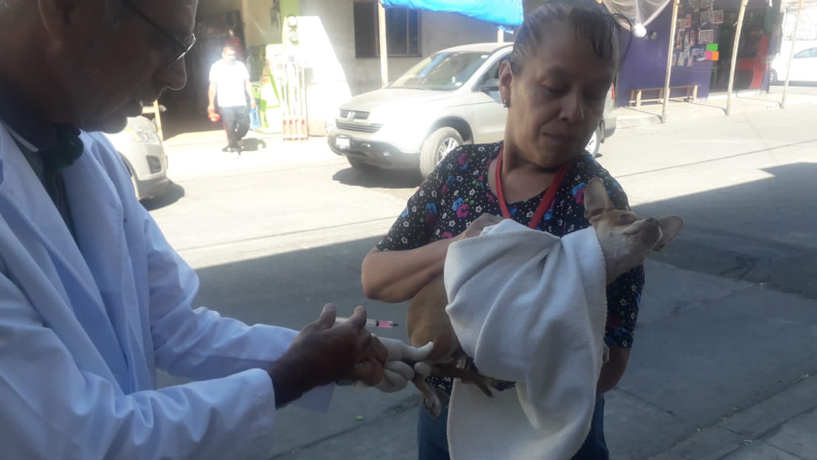Arranca en Uruapan jornada de vacunación canina y felina en colonias populares Arranca en Uruapan jornada de vacunación canina y felina en colonias populares