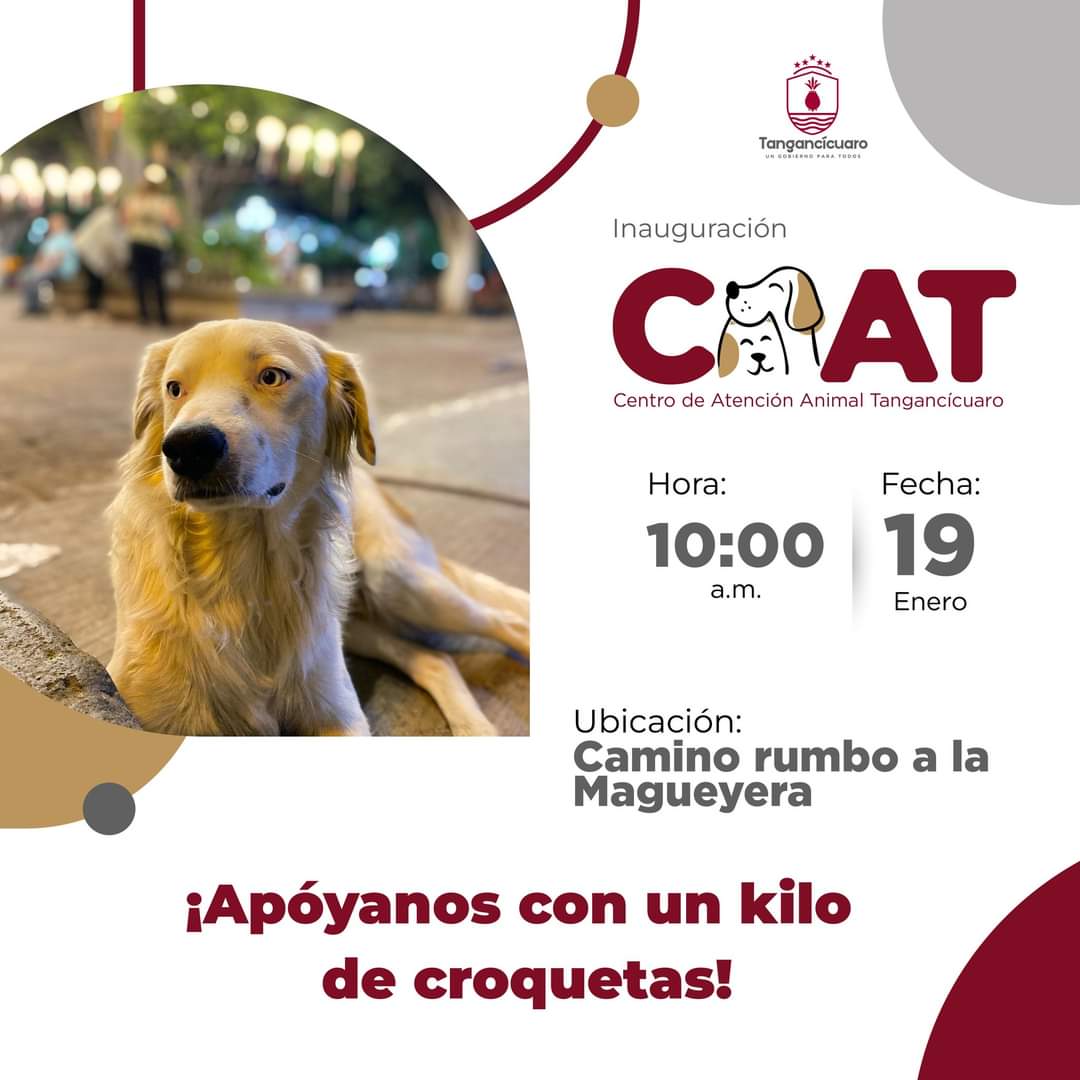 Gobierno de Tangancícuaro inaugurará Centro de atención animal