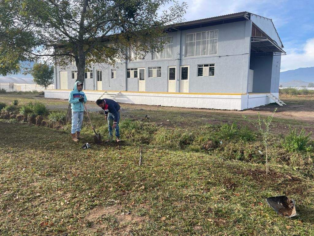 Trabajos de reforestación en el Centro de atención animal en Tangancícuaro Trabajos de reforestación en el Centro de atención animal en Tangancícuaro