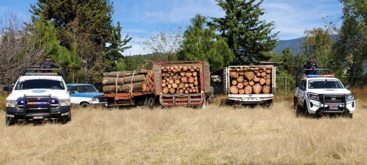 Asegura 3 vehículos cargados con madera presuntamente ilícita, en Ocampo