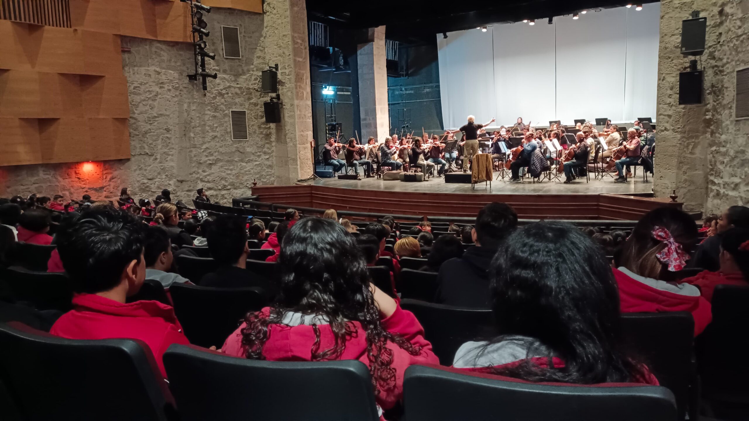 Niñas y niños disfrutan de la música de orquesta con la Osidem