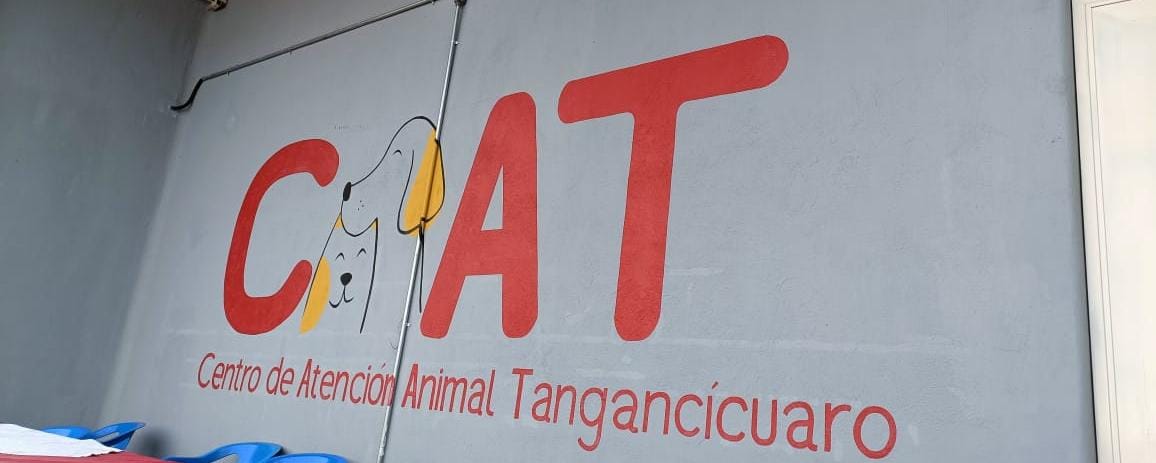 Segunda campaña de esterilización en Tangancícuaro Segunda campaña de esterilización en Tangancícuaro