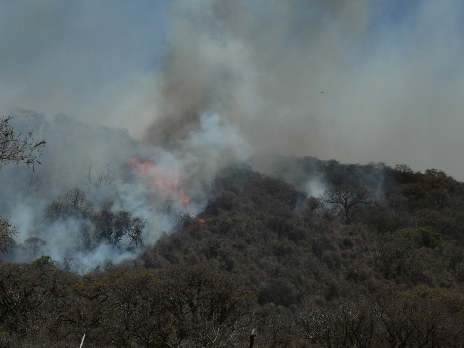 Inician sobrevuelo de dron para atender incendio en el cerro del Quinceo