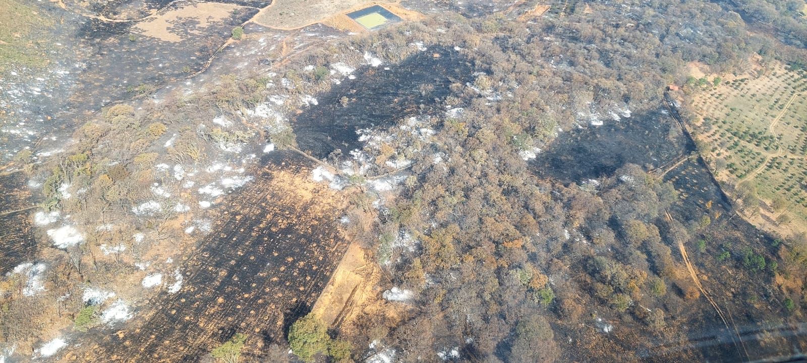 Brigadistas atienden 6 incendios forestales en Michoacán Brigadistas atienden 6 incendios forestales en Michoacán