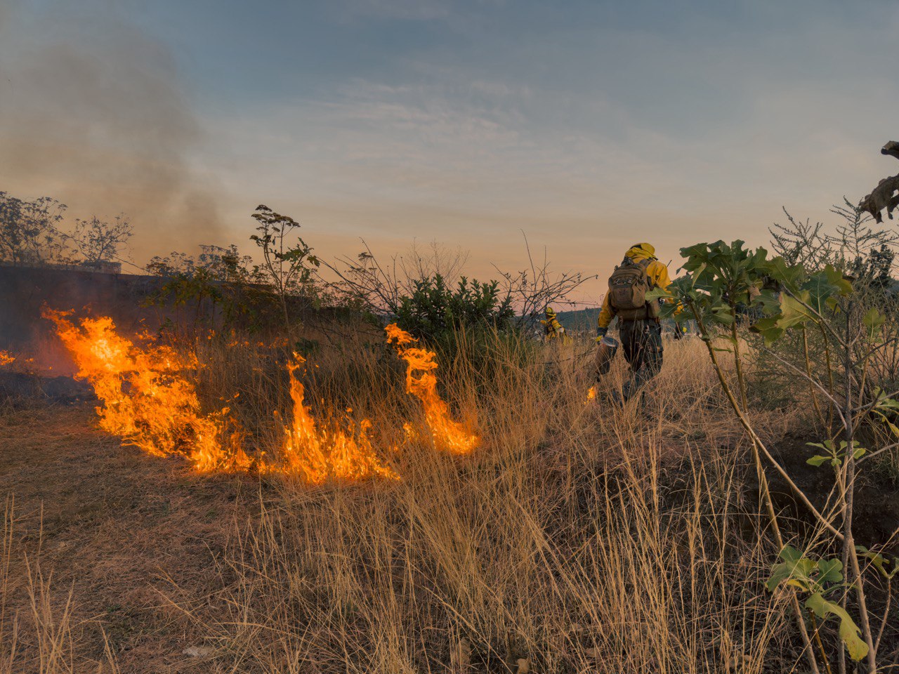 Brigadistas continúan con acciones preventivas contra incendios