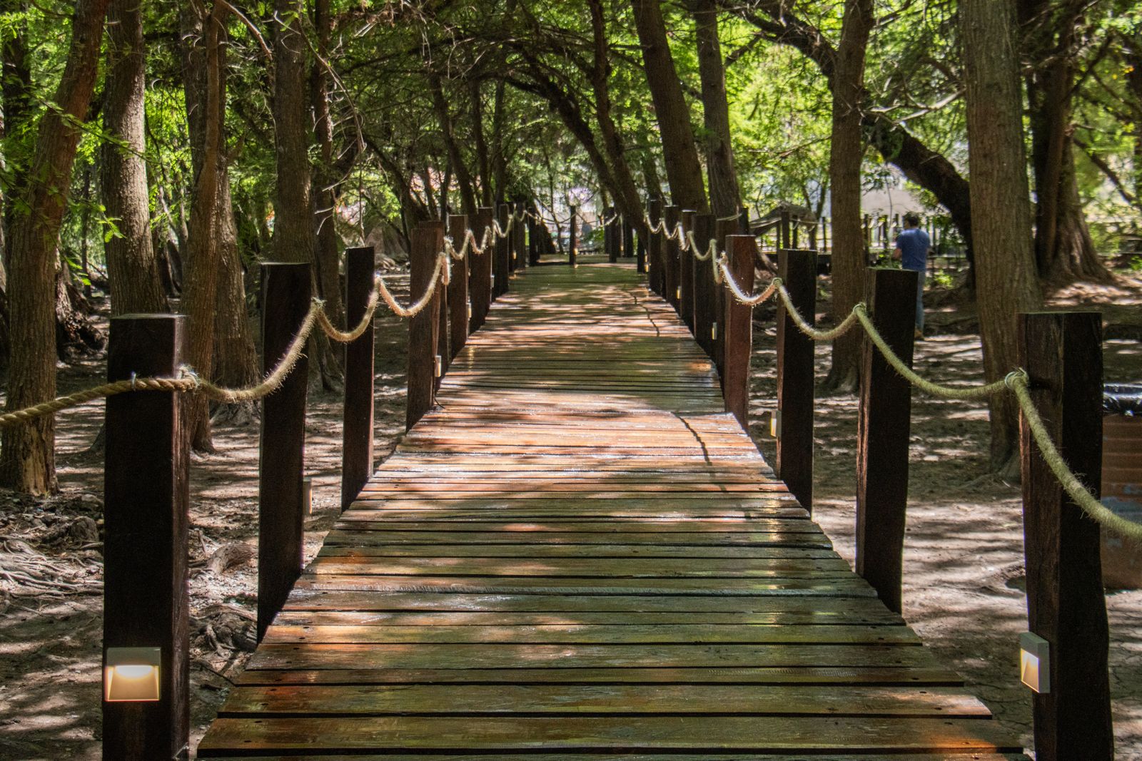 El Parque Nacional Lago de Camécuaro estrena andador iluminado