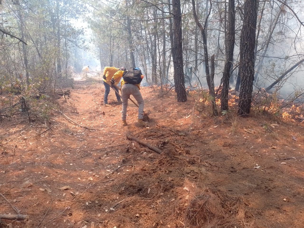 Atienden incendio en Charo