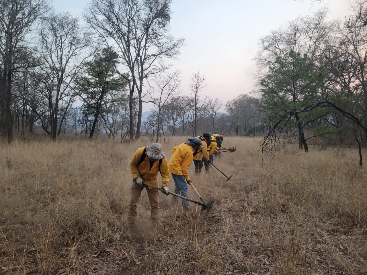 Brigadistas apagan 7 incendios en Michoacán