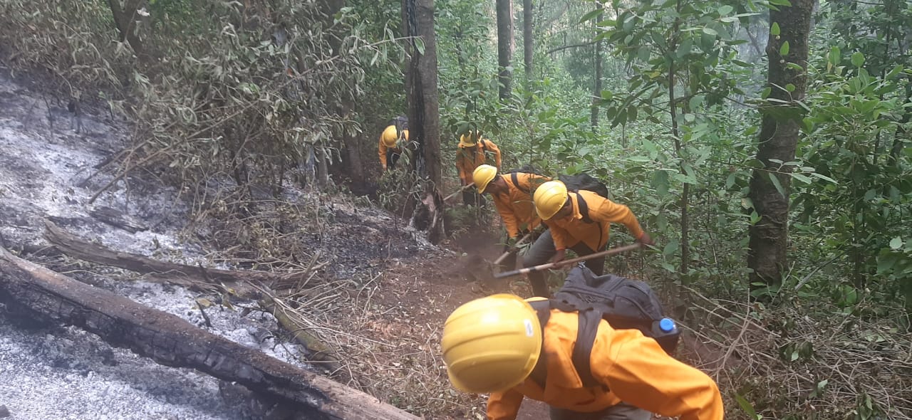 Brigadistas controlan incendio forestal en Morelia y atienden 9 más en otros municipios