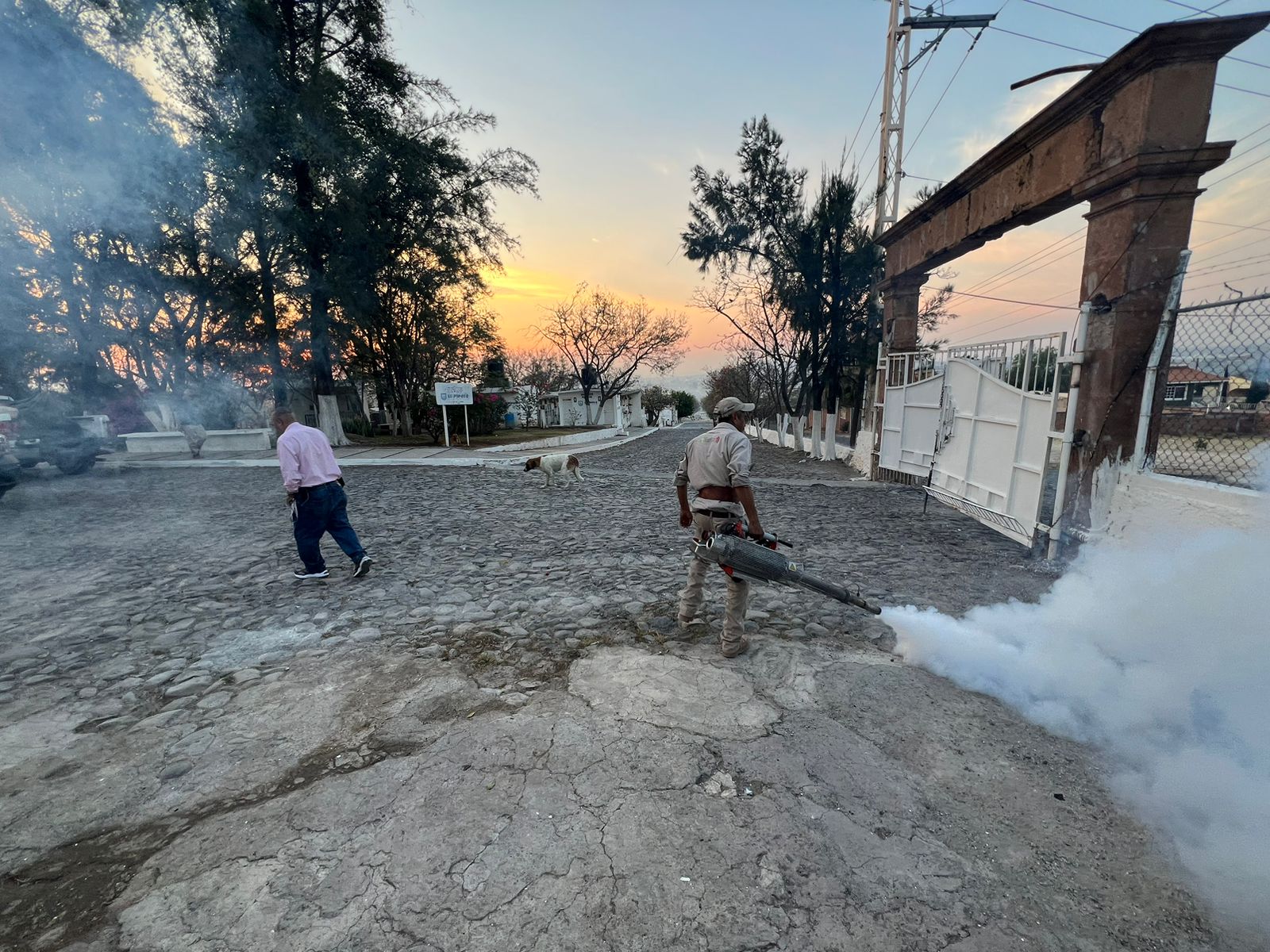 Implementa SSM operativo contra el dengue en panteón de La Piedad