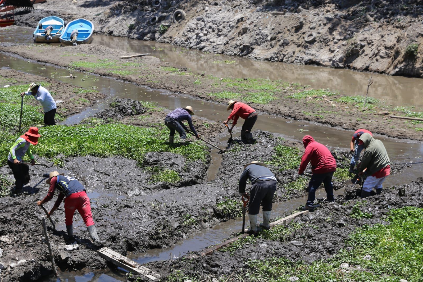 Se concreta y aplica programa de preservación del lago de Pátzcuaro: ARB