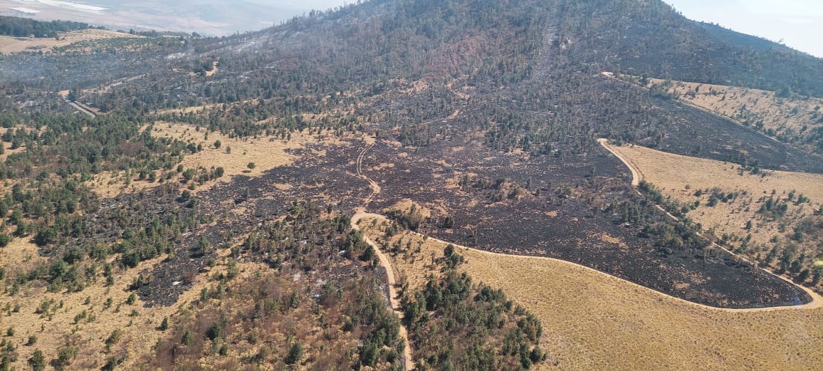 Sobrevuelan incendio forestal en Purépero y Zacapu