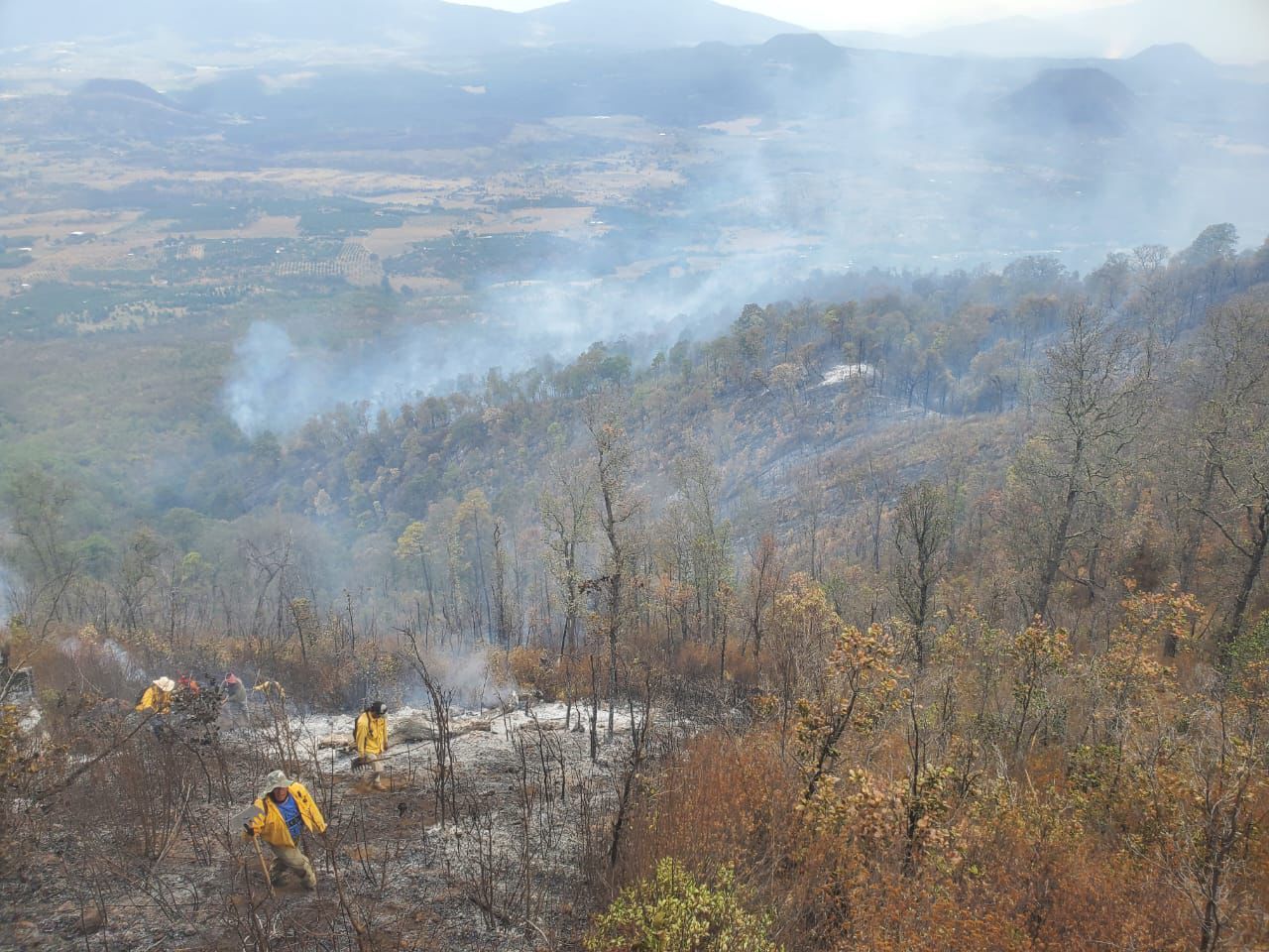 Más de 100 brigadistas forestales atienden cinco incendios en Michoacán