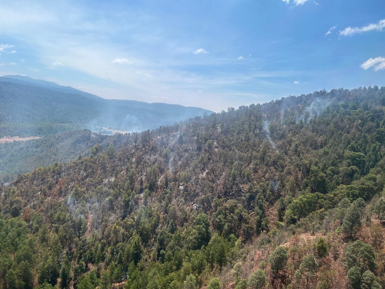 Con ayuda de helicóptero con helibalde apagan incendio forestal en Queréndaro