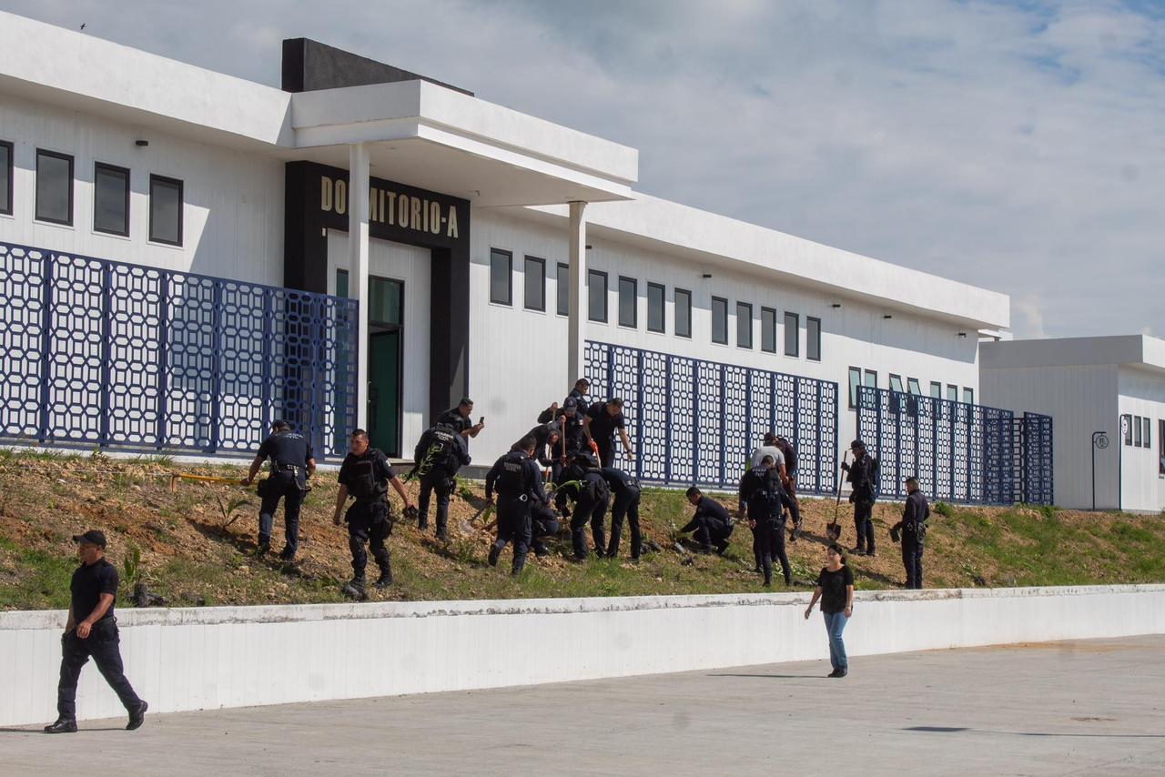 Reforestan intenciones de la GC y complejo administrativo de policía regional