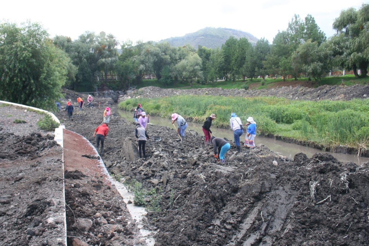 Participación comunitaria, clave en recuperación del lago de Pátzcuaro: Secma