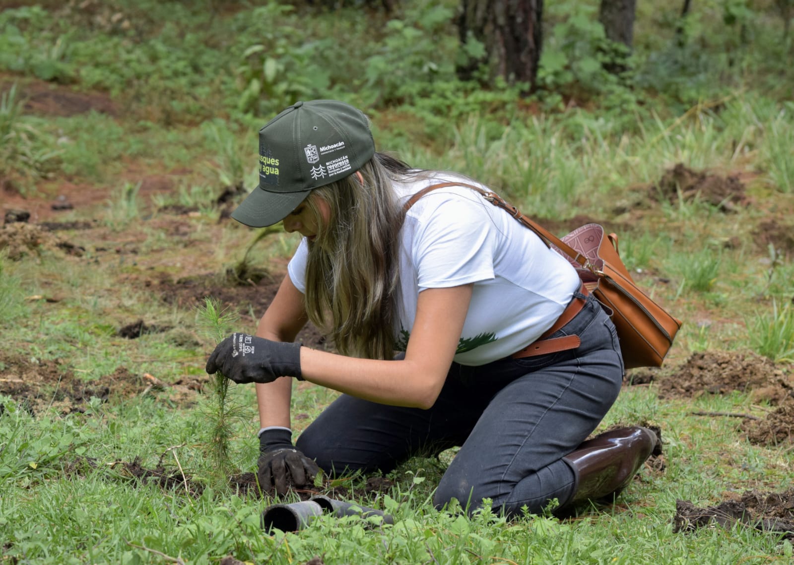 Arranca plantación de 2 mil árboles en área protegida de Los Azufres