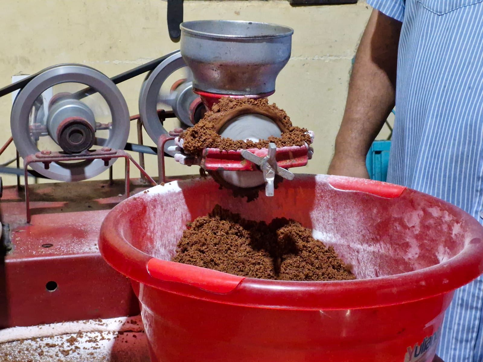 Michoacán tiene las condiciones idóneas para la producción de cacao: Sader