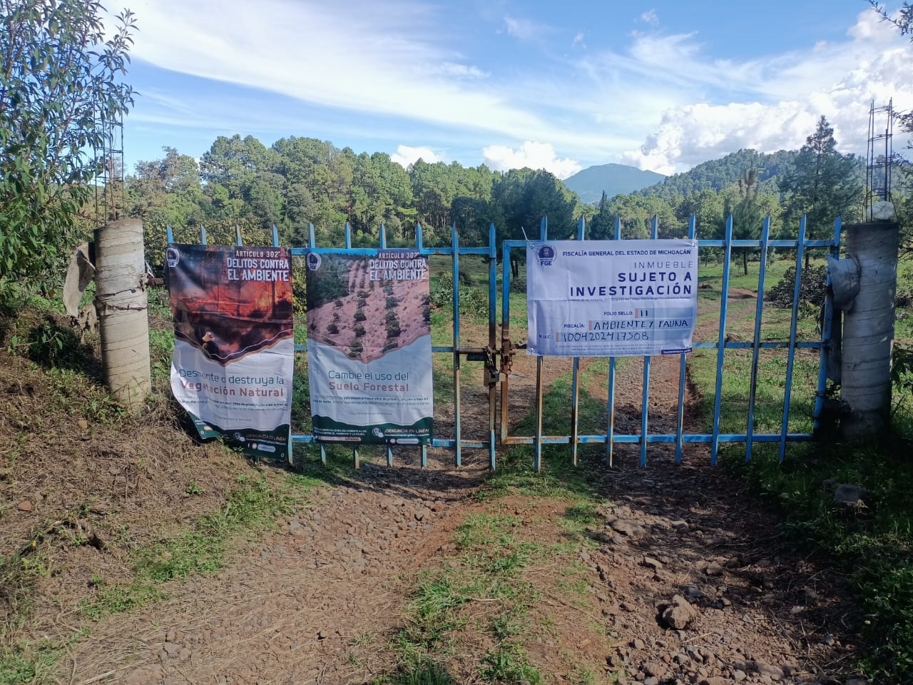 Cumplimenta FGE orden de cateo en predio relacionado en delitos contra el ambiente, en Los Reyes