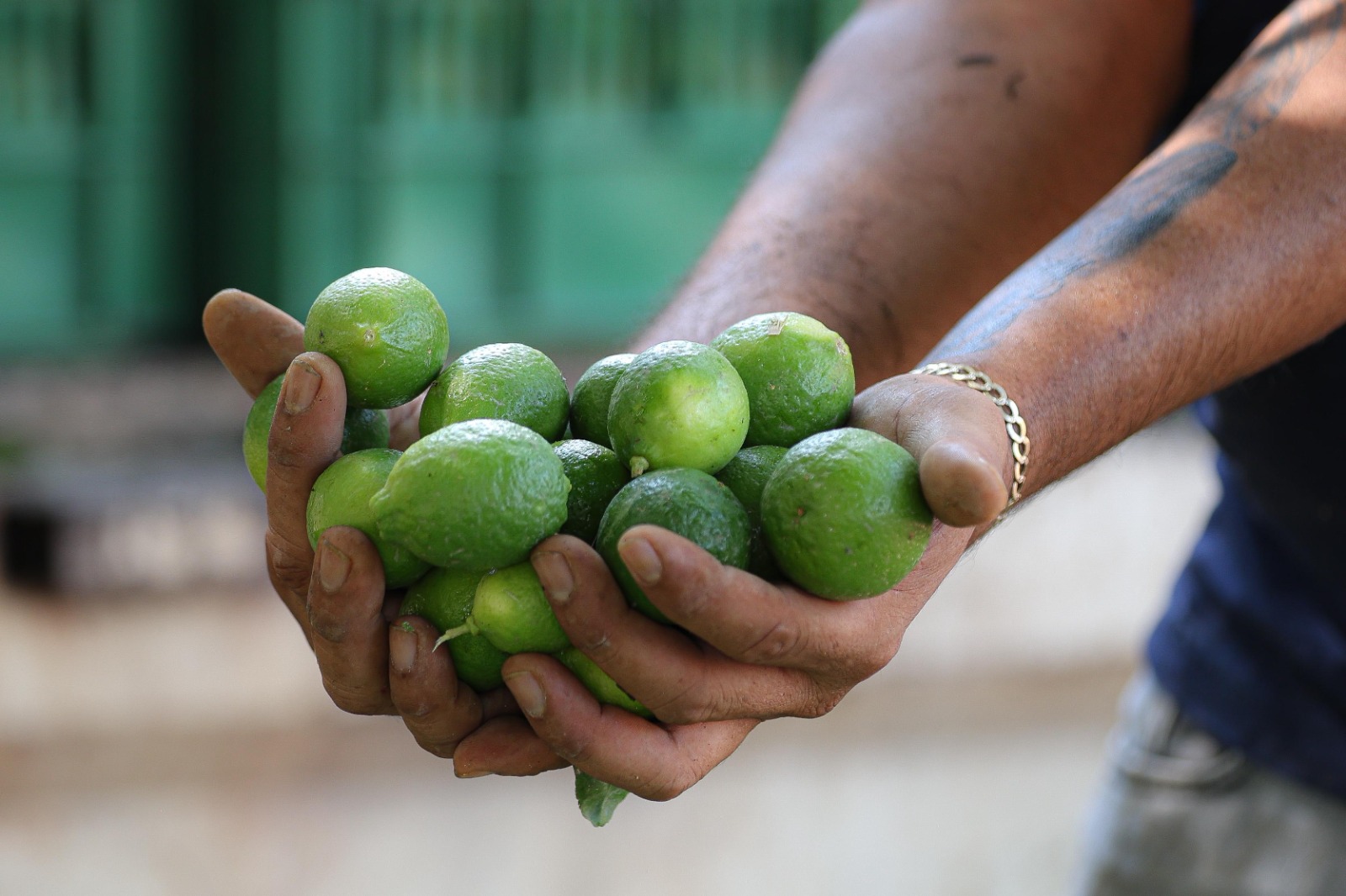 Bedolla y Food Collective acuerdan vinculación para exportar limón a Suecia