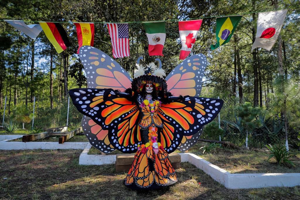 Llegan las Mariposas Monarca a Michoacán