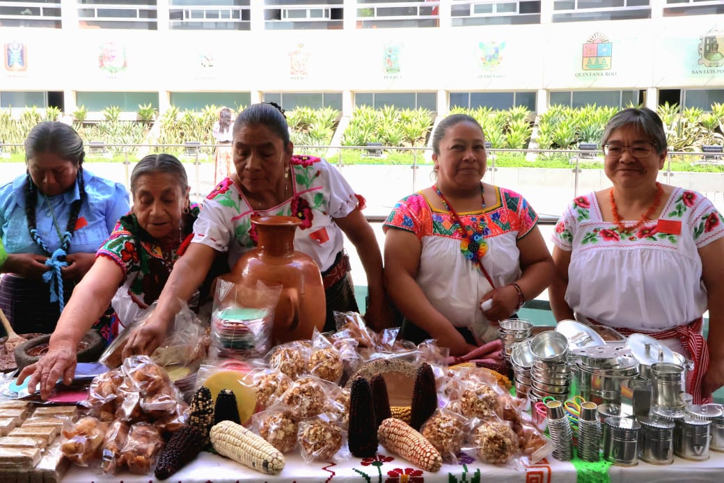 Cocineras y cocineros de 14 estados en el Senado de la República