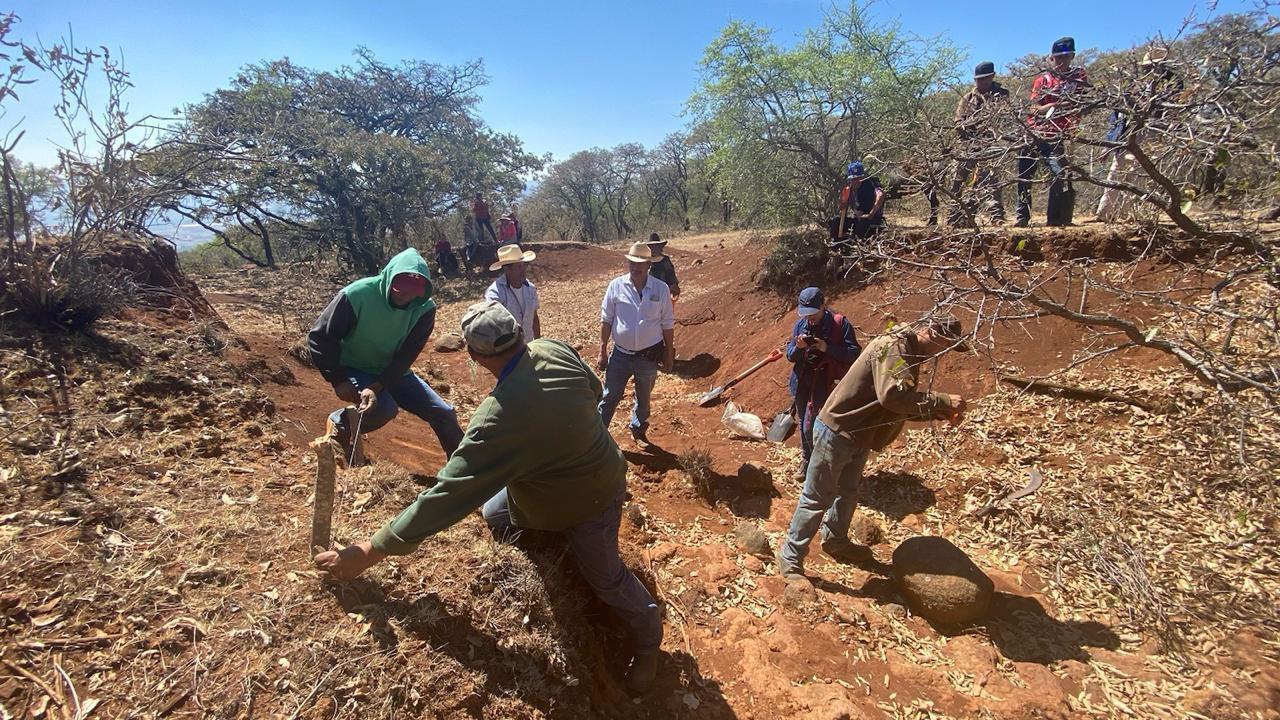 Unen esfuerzos para restaurar 50 hectáreas del área protegida cerro del Águila