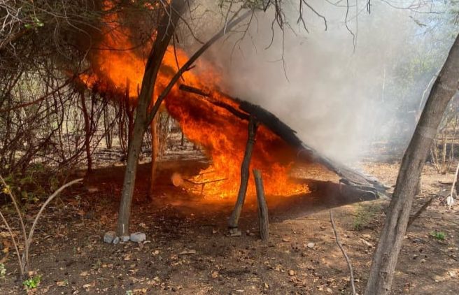 SSP y Defensa localizan campamento clandestino en Parácuaro