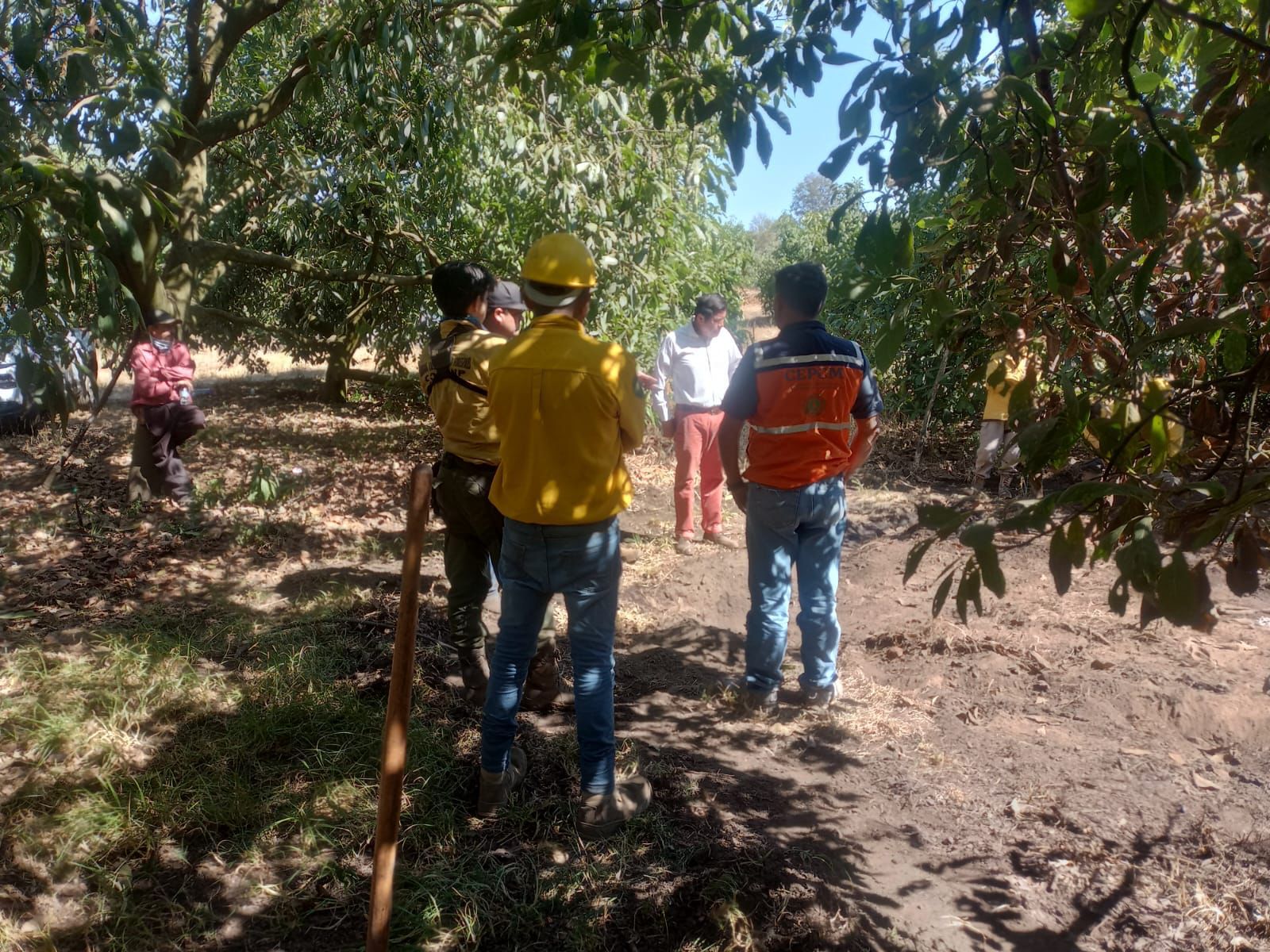 PC Estatal investiga fenómeno termal en Uruapan PC Estatal investiga fenómeno termal en Uruapan