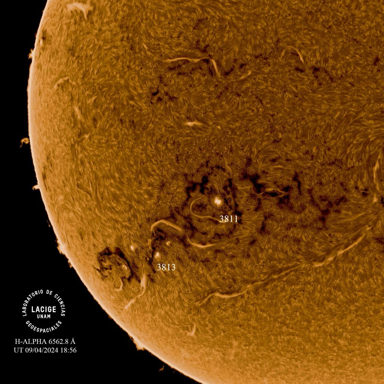 Fotografiando al Sol: ¿Por qué es clave monitorear nuestra estrella? Fotografiando al Sol: ¿Por qué es clave monitorear nuestra estrella?