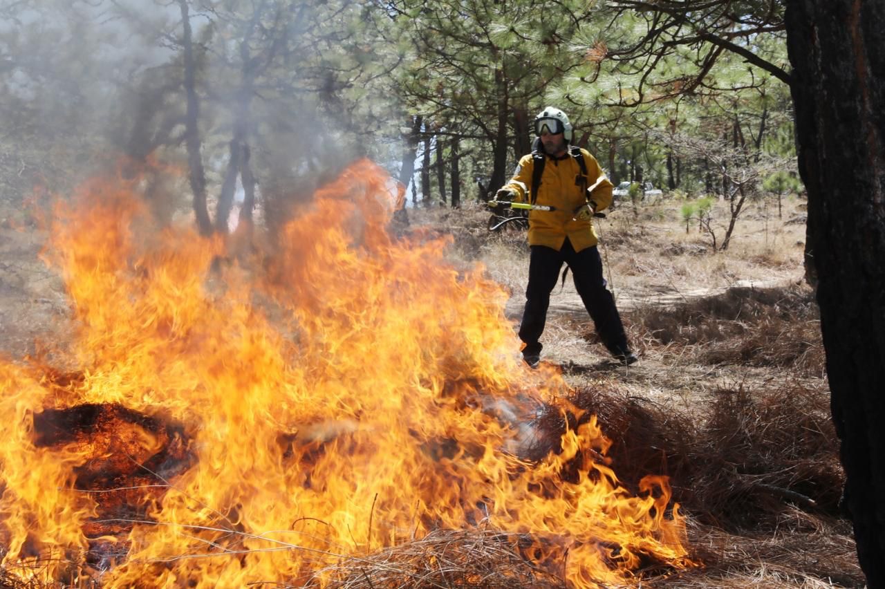 Brigadistas estatales y municipales atienden incendio forestal en Epitacio Huerta Brigadistas estatales y municipales atienden incendio forestal en Epitacio Huerta