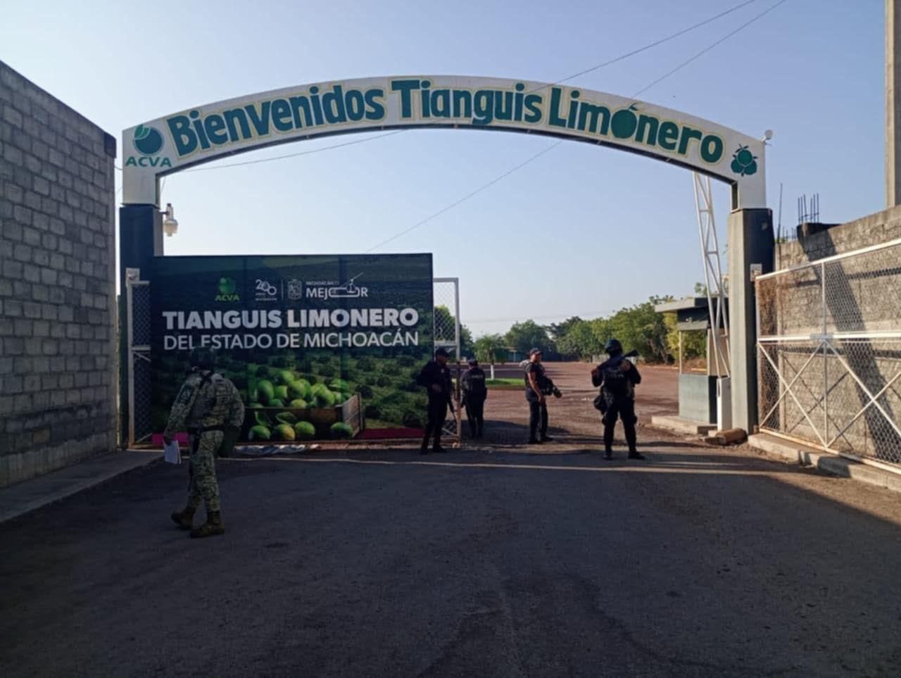 Garantizado el abasto de limón michoacano a todo el país: Torres Piña