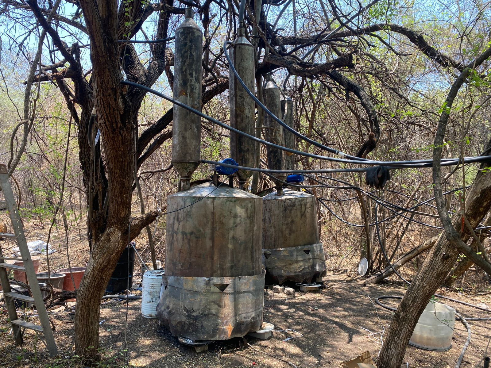 En operativo SSP y Defensa desmantelan laboratorio de drogas sintéticas en Parácuaro En operativo SSP y Defensa desmantelan laboratorio de drogas sintéticas en Parácuaro
