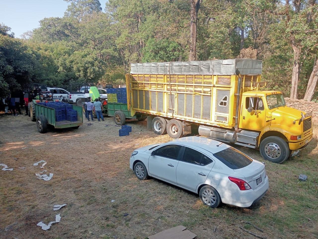 SSP y Defensa detienen a 14 presuntos implicados en robo de 160 cajas de aguacate SSP y Defensa detienen a 14 presuntos implicados en robo de 160 cajas de aguacate
