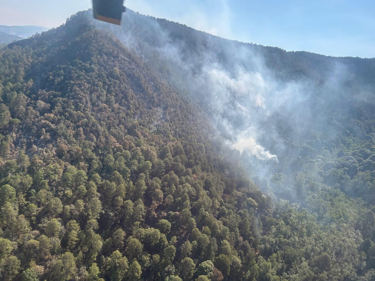 Atendido incendio forestal en zona del bosque de la Mariposa Monarca: Cofom Atendido incendio forestal en zona del bosque de la Mariposa Monarca: Cofom