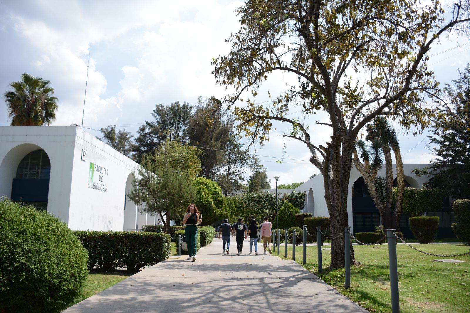 UMSNH acerca oferta laboral a las y los universitarios, se realizará Feria de Empleo UMSNH acerca oferta laboral a las y los universitarios, se realizará Feria de Empleo