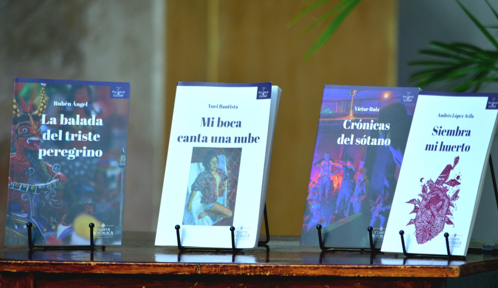 Últimos días para postularse a la convocatoria Palabras de Colibrí 2025 Últimos días para postularse a la convocatoria Palabras de Colibrí 2025