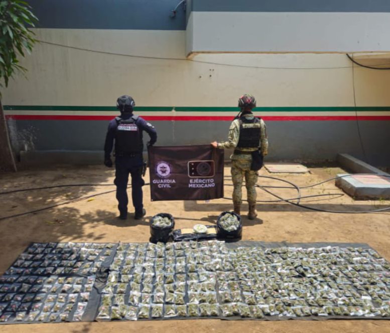 SSP y Defensa decomisan más de 600 envoltorios con droga en Buenavista SSP y Defensa decomisan más de 600 envoltorios con droga en Buenavista