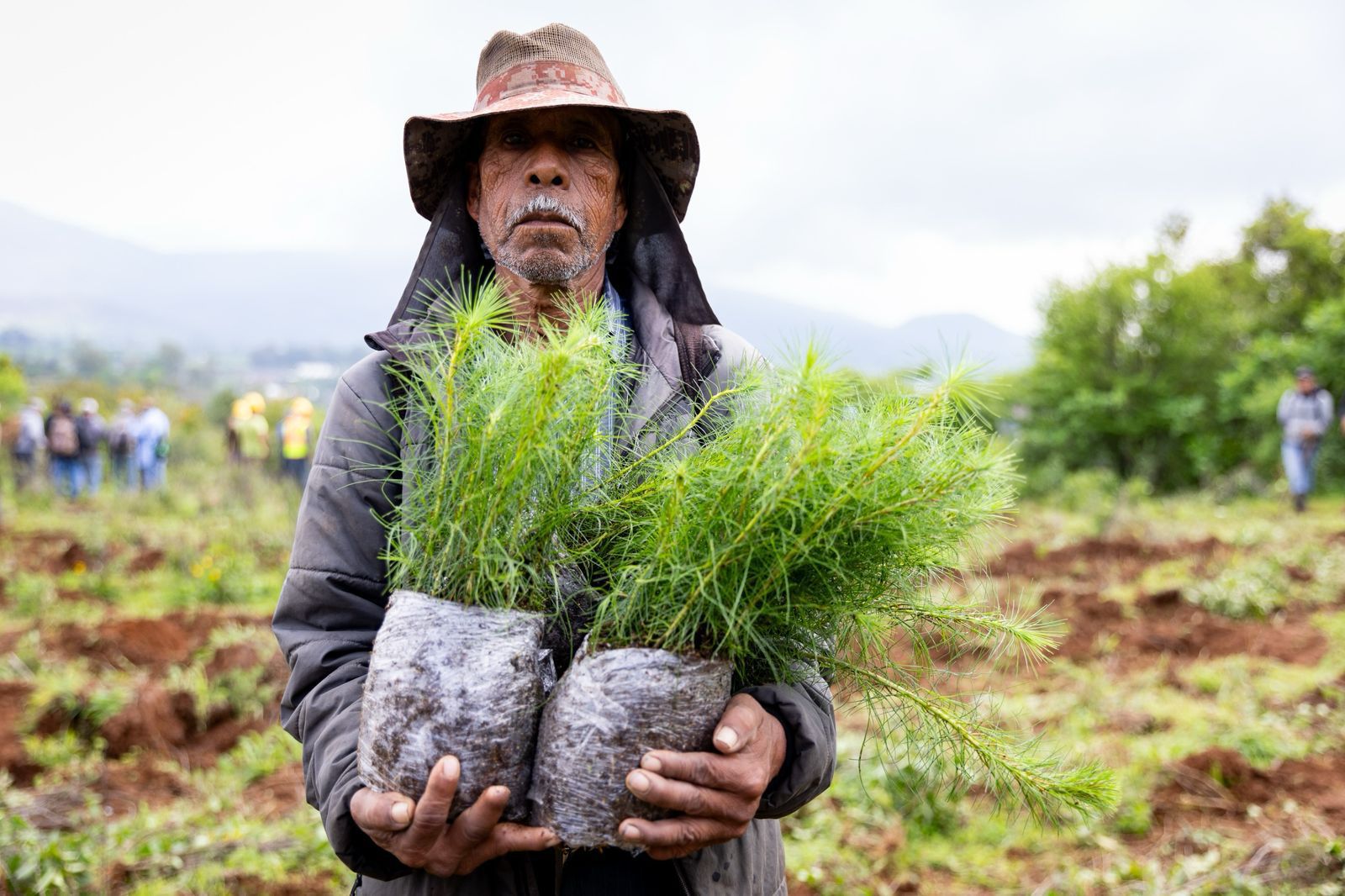 Bedolla anuncia plantación de 70 mil árboles en zona urbana de Uruapan
