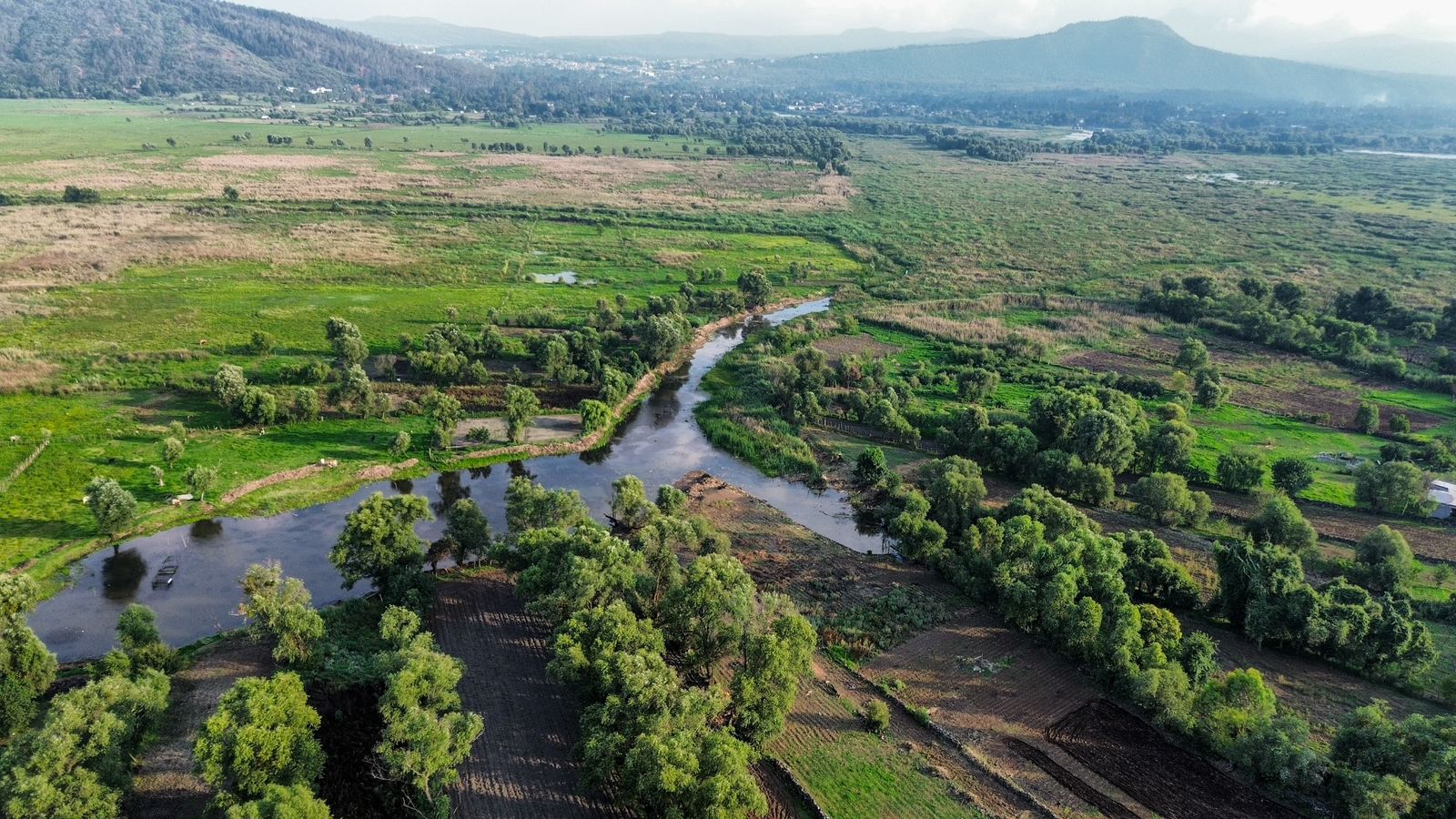 Lago de Pátzcuaro renace con 5 nuevos manantiales en Urandén: Compesca Lago de Pátzcuaro renace con 5 nuevos manantiales en Urandén: Compesca
